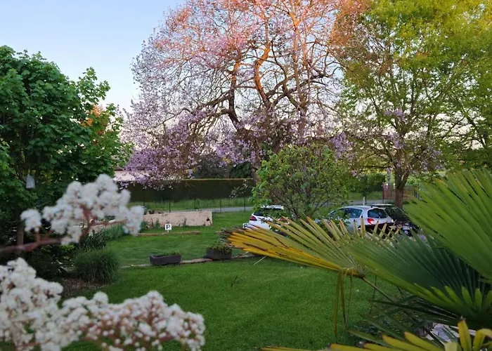 Lejlighed Proche De Le Colombier Confort Parking Prive Vichy